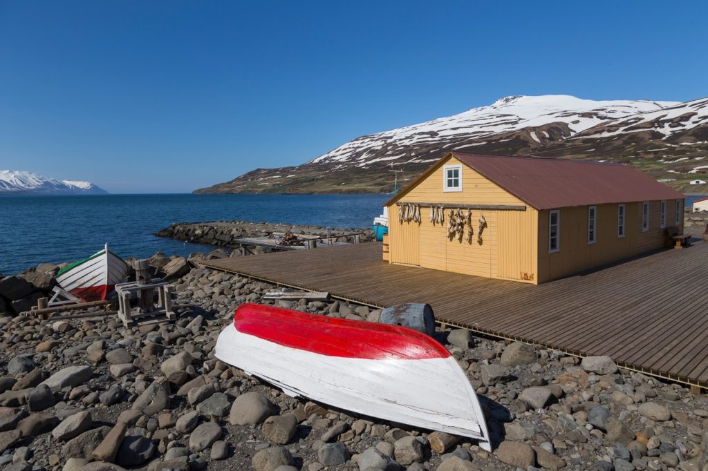 Barco pesquero en Grenivík ¡Senderismo en el Norte de Islandia! Visita Grenivík