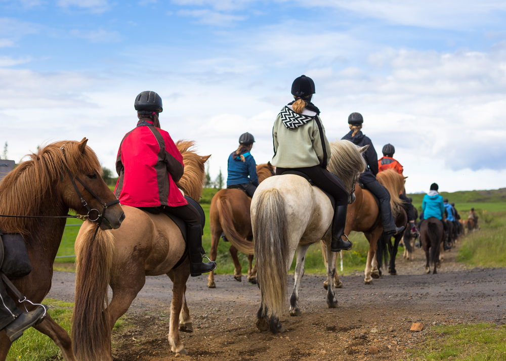 Grupo de turistas cabalgando caballos islandeses en tours disponibles aun en septiembre
